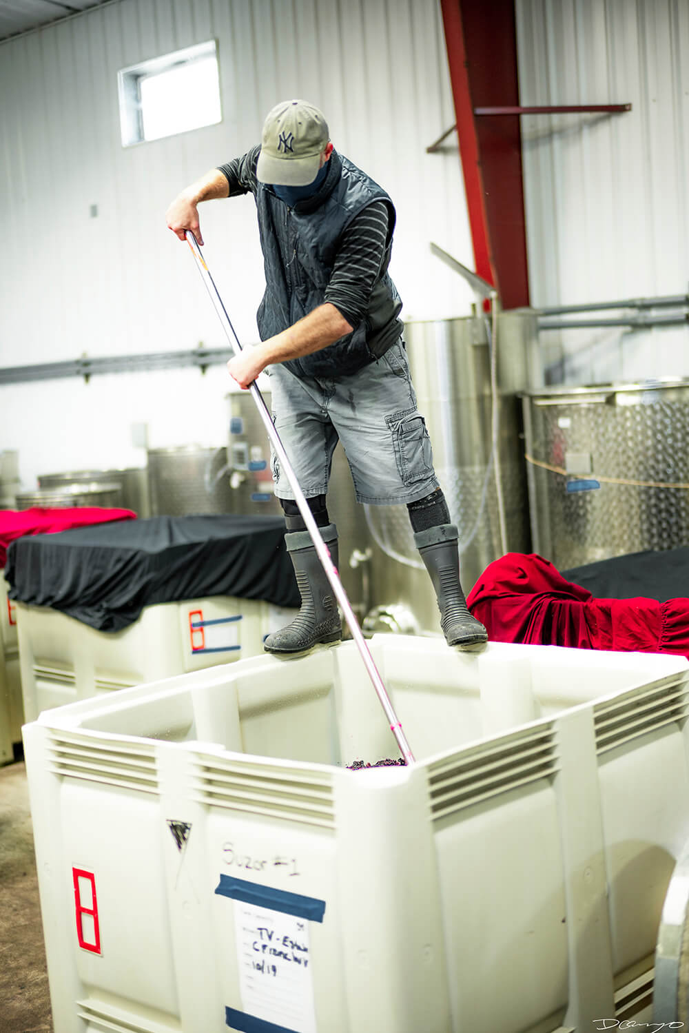 Photos with Communique Wines in McMinville, Oregon, in the Fall of 2020.